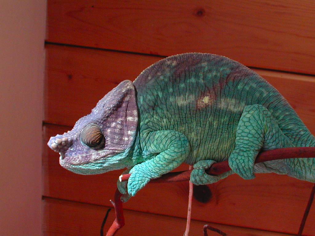 dscn4098.jpg