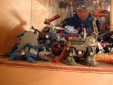 dscn0013.jpg