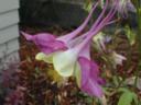 dscn0037.jpg