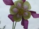dscn0040.jpg