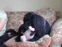 dscn0043.jpg